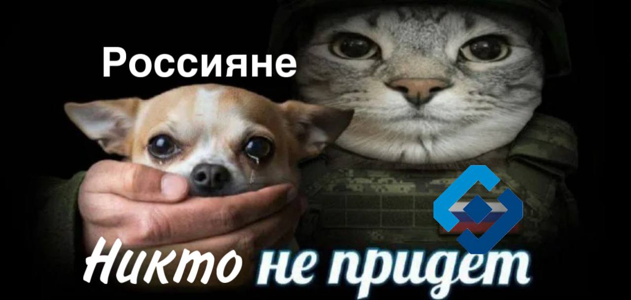 Минцифры и РКН хотят, чтоб операторы связи сами боролись с VPN: либо пытаться фильтровать трафик, либо повысят стоимость доступа к зарубежным сервисам.