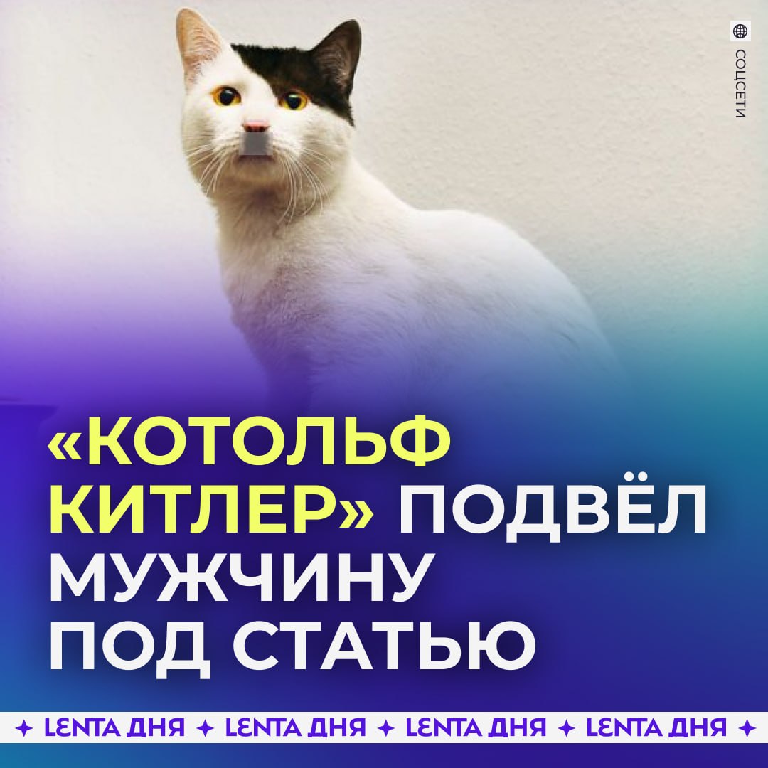 ? Россиянина наказали за «Котольфа Китлера».