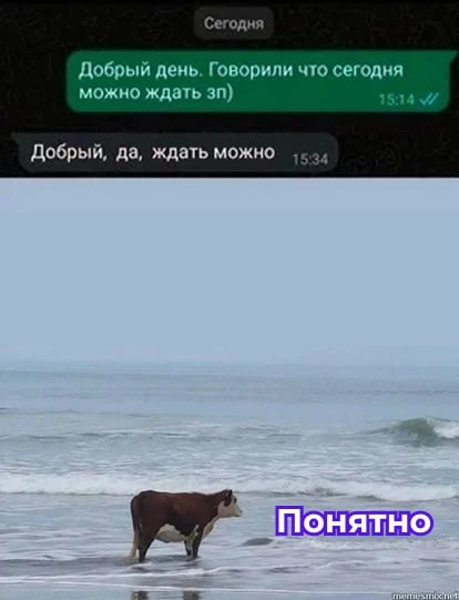 Разрыв в зарплатах мужчин и женщин в России достиг рекордных 33,7% — кто в выигрыше, а кто в проигрыше