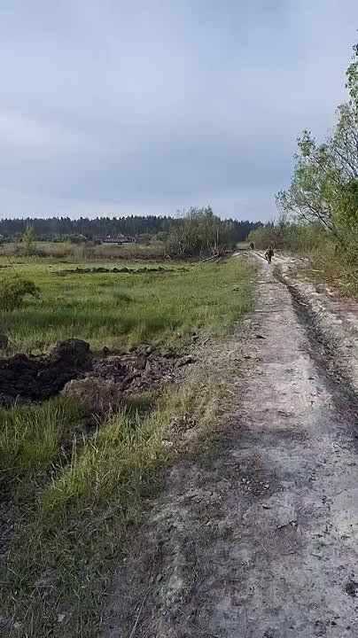 Российские военные освободили населённый пункт Волчанские Хутора в Харьковской области, сообщили в Минобороны.