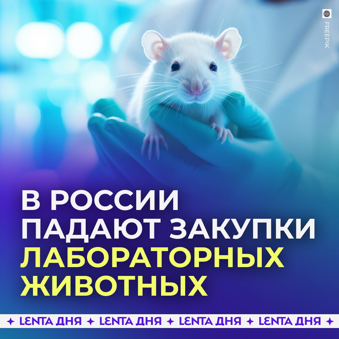 Сокращение экспериментов на животных в российской науке