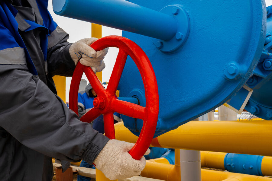 Венгрия прекращает поставки газа на Украину из-за «Дружбы»